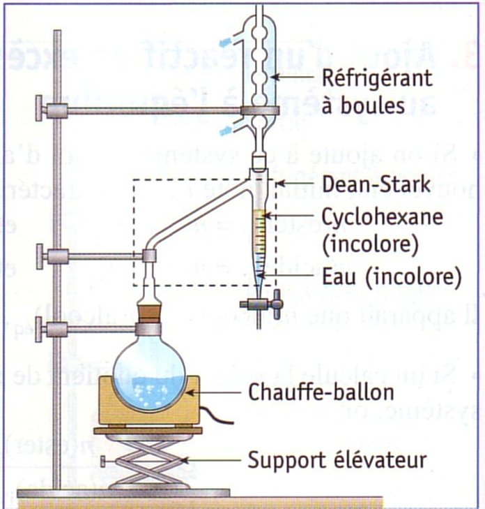 schema